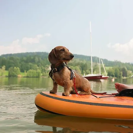 Maltschachersee Campsite *