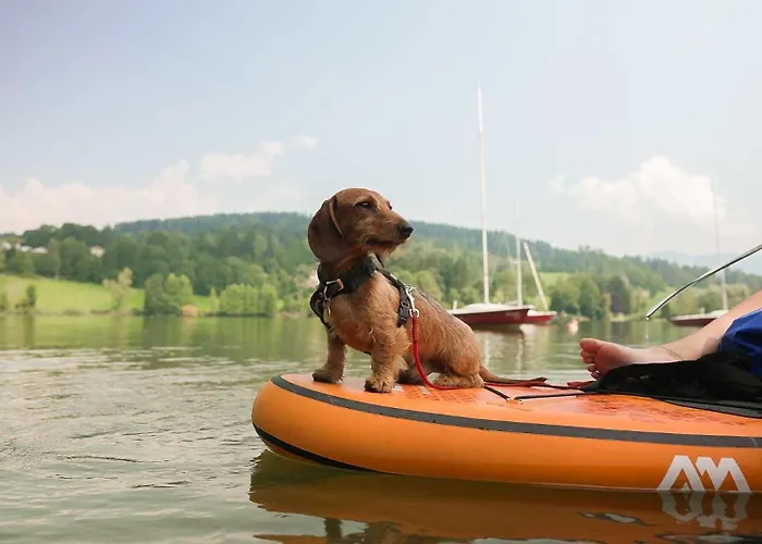 Maltschachersee Camping *